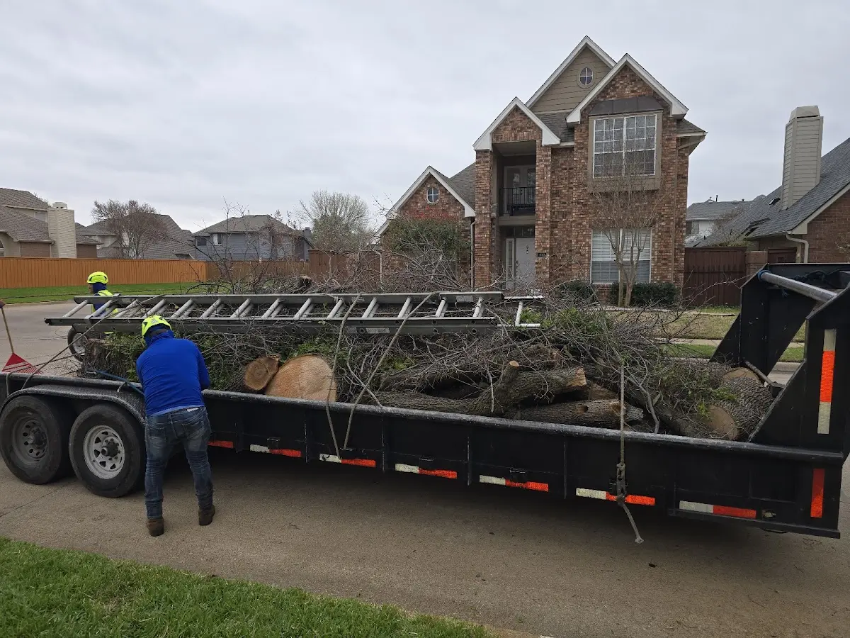 Expert Tree Pest Control with proper safety equipment in Chagrin Falls